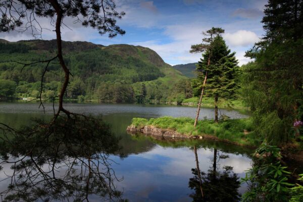 Views across Loch Trool