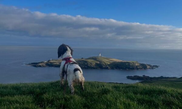 Great Views - Little Ross Island & Lighthouse