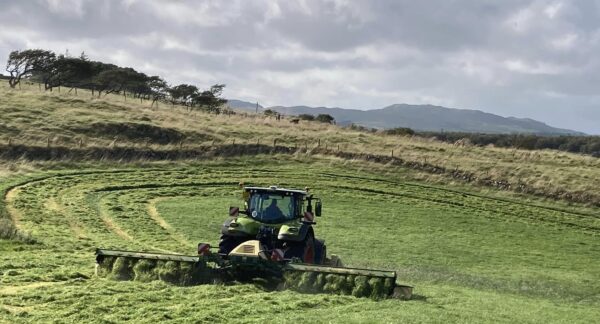 2nd Cut Grass for Silage at Airds of Balcary Farm