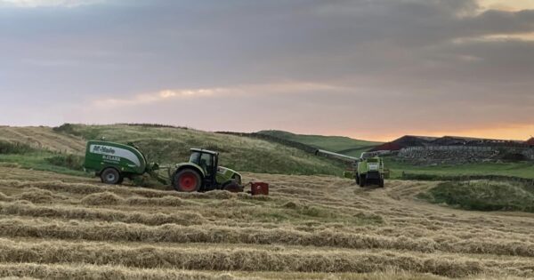 Baling the Straw at Airds of Balcary Farm